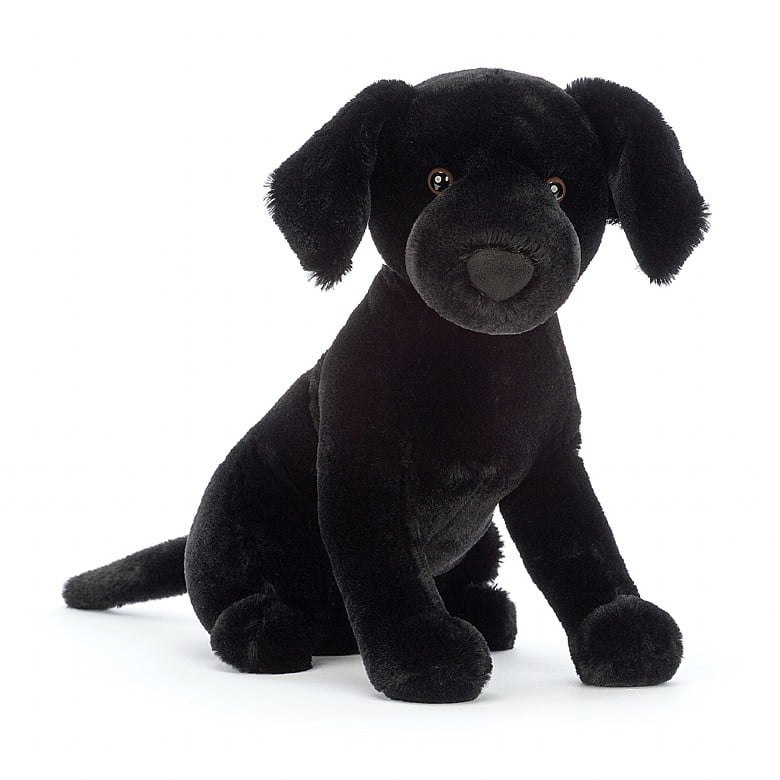Pippa Black Labrador - M