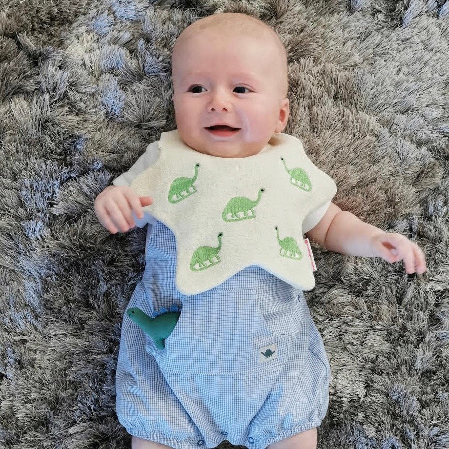 The Dinosaur Bib